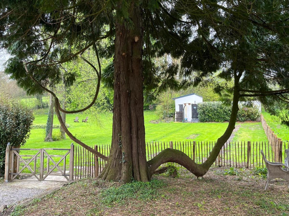 Domaine De La Course Bed & Breakfast Doudeauville Bagian luar foto
